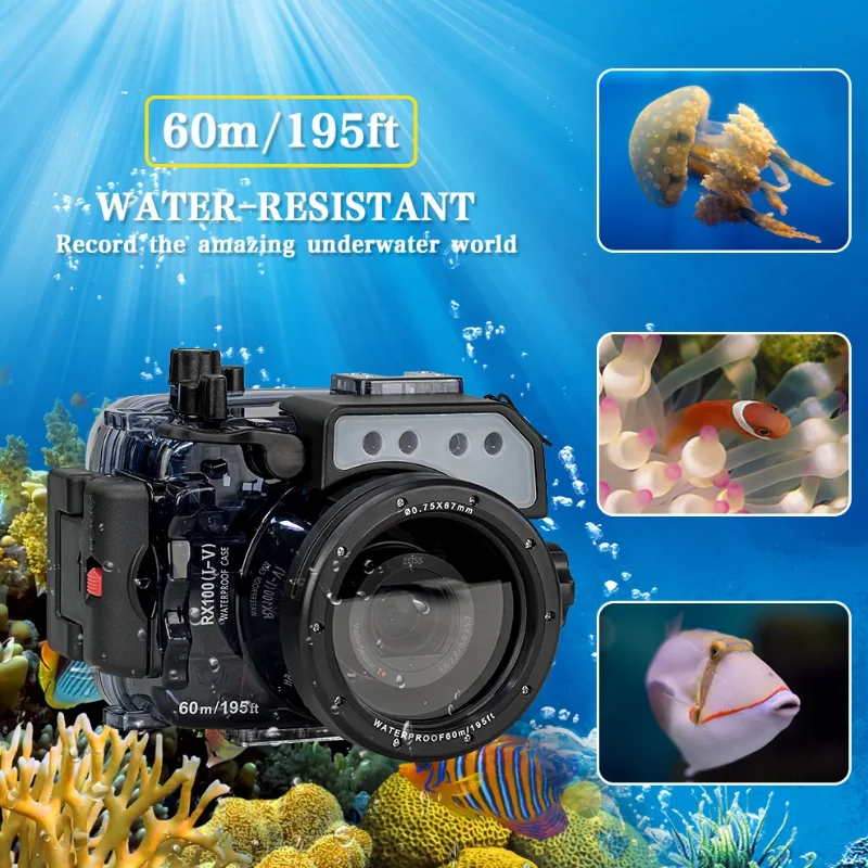 Seafrogs- RX100 I II III IV V VI VII M5A 디지털 카메라 다이빙 케이스, 수중 하우징 방수 커버 방수 가방