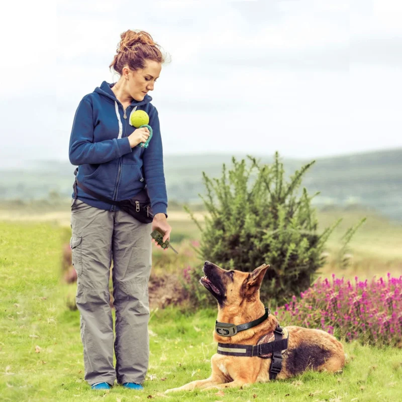 

1000m Electric Dog Training Collar Remote Control Anti Bark Dog Collar Rechargeable Waterproof Shocker Electric Vibrador Sound