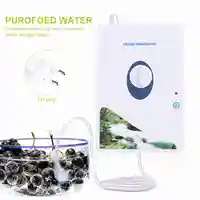 Ozone Generator Ozonator Air Purifiers 600mg/h Oil Vegetable Meat Purify Air Water House 2