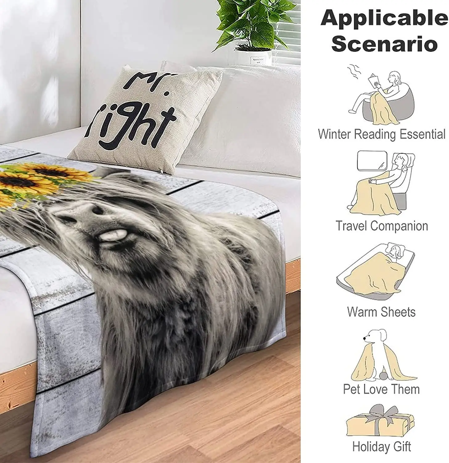 ���̷��� �ϼ� �ö��� ��� Ȳ�� �� �θ��� ��� ���� ī�캸�� ������ ��� �߻� ���� �� �ϼ� ħ�� �÷��� ���