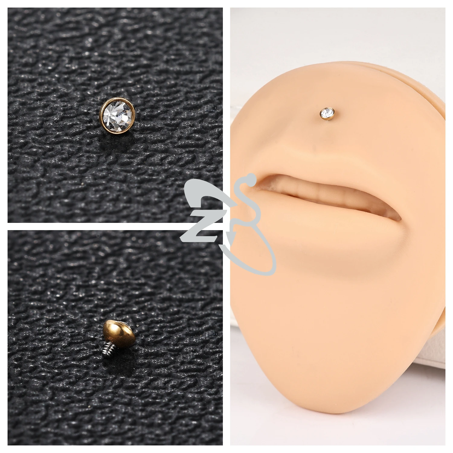 dsc-products