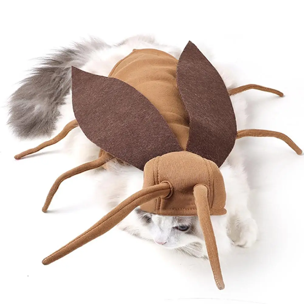 Halloween Cockroach Costume for Cats and Small Dogs 5