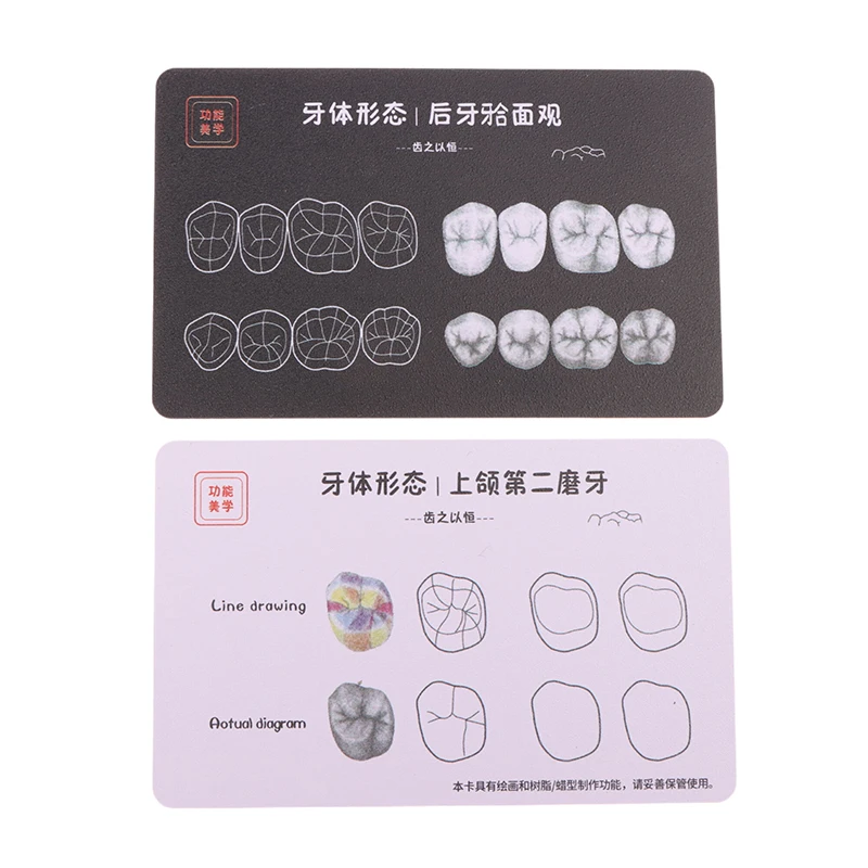 9sheet/1box Dental Composite Filling Practice Board Model Teeth Template Restoration Cavity Dentist Anterior Posterior Practise dental resin filling material