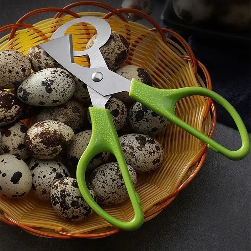 Egg Cutter Pigeon Quail Open Crack Small Egg Shell Scissor Cut Bird Eggshell Separator Cigar Cutter Opener Tool Clipper Cracker Blade Shear