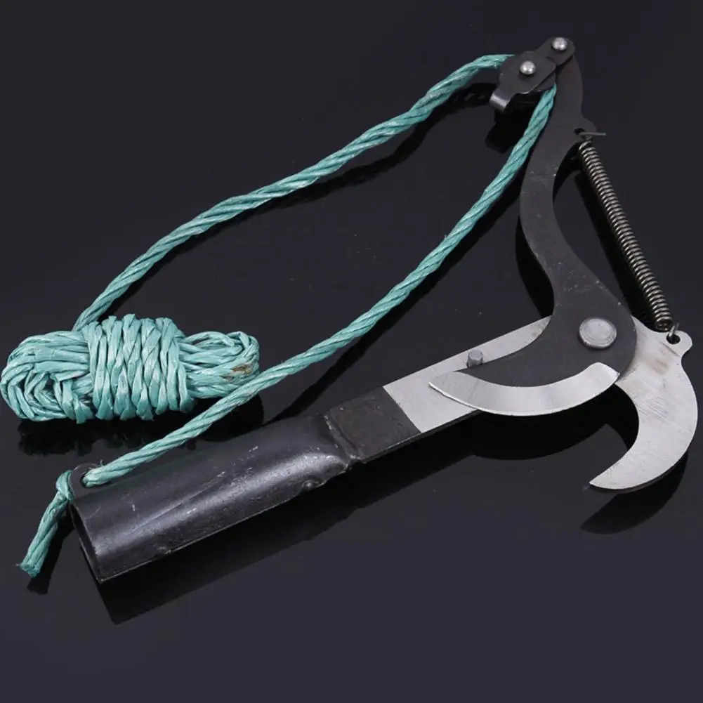 Description Picture 4 of itemTelescopic Scissors Fruit Picker High-altitude Cutting Equipment Gardening Branches Gardening Branches And Pruning Tools To K9F6