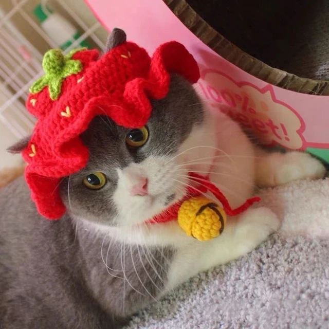Pet Knitted Hat New Wool Hand-knitted Strawberry Red Hat With Ear Holes Cute Kitten Dog Headgear Pet Cosplay Accessories 5