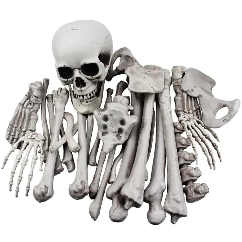 

Artificial Human Skeleton Artificial Scary Bone for Halloween Scary Graveyard