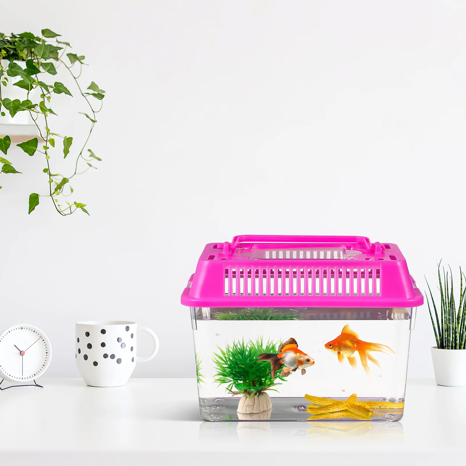 4 Pcs Mini Portable Fish Tank Small Turtle Accessories for Transparent Tortoise Holder Plastic Breeding with Cover Child