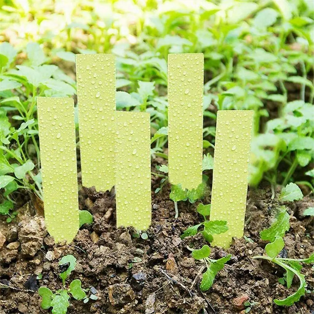 Garden Labels 100pcs Plant Tag Plastic Hanging Waterproof Tagging Nursery Pot Marker