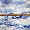 50G Crochet Fancy Yarn Plush Fantasy Hand Knitting Yarn Parnter Thread for DIY Sweater Hat for Women Children 6