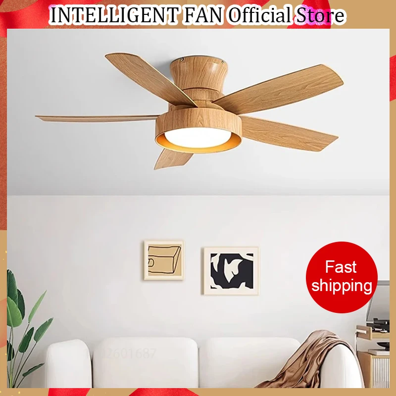 

42/52 Inch Restaurant Fan 5 ABS Blade Pure Copper DC 30W Motor Ceiling Fan With 24W LED Light Support Remote Control 220V 110V