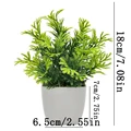 Pine needle leaves