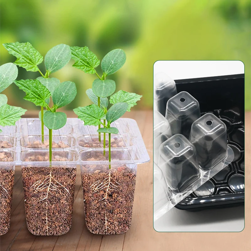 Heightened Three-Piece Seedling Box Set with Lid 6/12 Hole Design Succulent Vegetable Breeding Pot Gardening Plant Care Kit