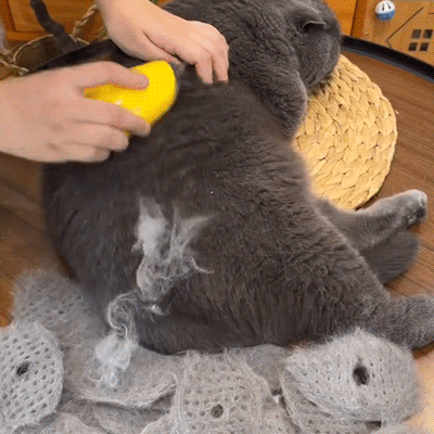 Cat Steam Brush Steamy Dog Brush 3 in 1 Electric Spray Cat Hair Brushes for Massage Pet Grooming Comb Hair Removal Combs