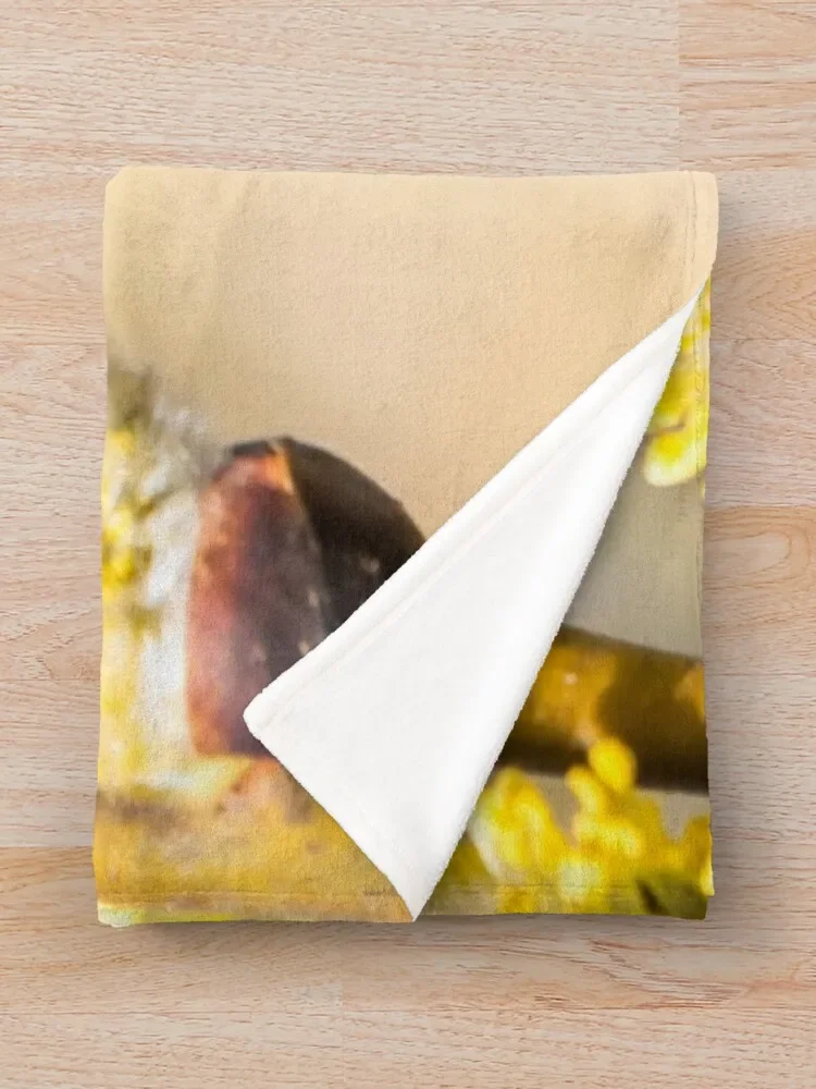 �ܹ� ������ ��� ���� ���� ħ�� Ŀ��, �ε巯�� ħ��, �ʴ��� ������ ���