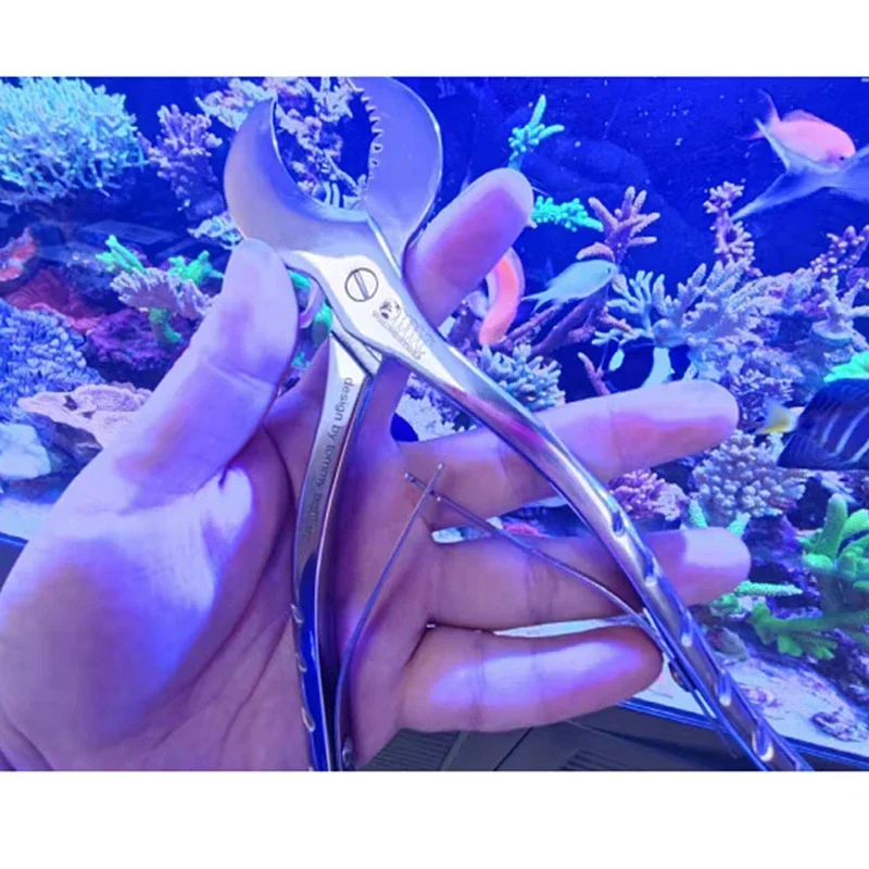 WWC 아쿠아리움 코랄 SPS 가위 물고기 리프 탱크 도구 코랄 클램프