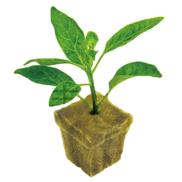 50 db Szellőztető Hidroponikus Növekedés Mezőgazdasági Média Kőzet Gyapjú Kompressziós Köpenyek Szikla Dugójának Leányképességi Szubsztrátja - Image 2