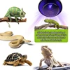 Pet Heating Lamp E27 Night Lamp For Amphibian Snake Lamp Heat Reptile Bulb UV Light 25W 50W 75W 100W AC220-240V 5