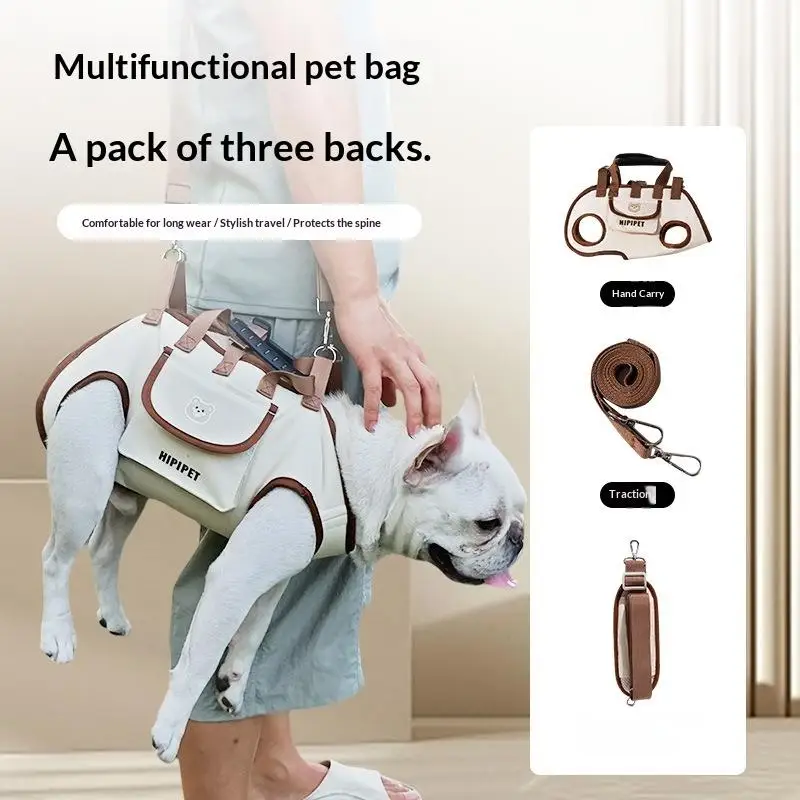 Borsa da trasporto portatile per animali domestici, cani e gatti, con clip per imbracatura, tracolla regolabile, per viaggi, escursioni e uso quotidiano - immagine 5