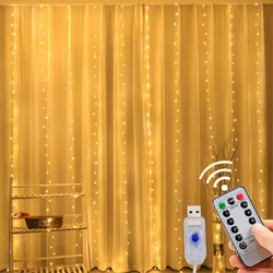 Warm LED Curtain Fairy Lights - USB-Powered Festival and Home Decoration - 3x2 200LED (Warm White)