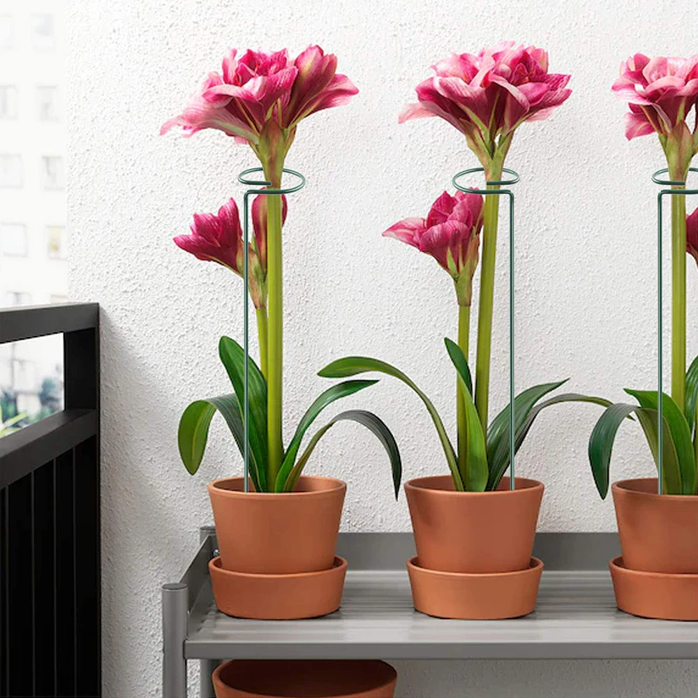 1 Pcs Plant Flowers Support Stake Backyard Beautiful Support Plant Stakes Bonsai Tool Stand Ring