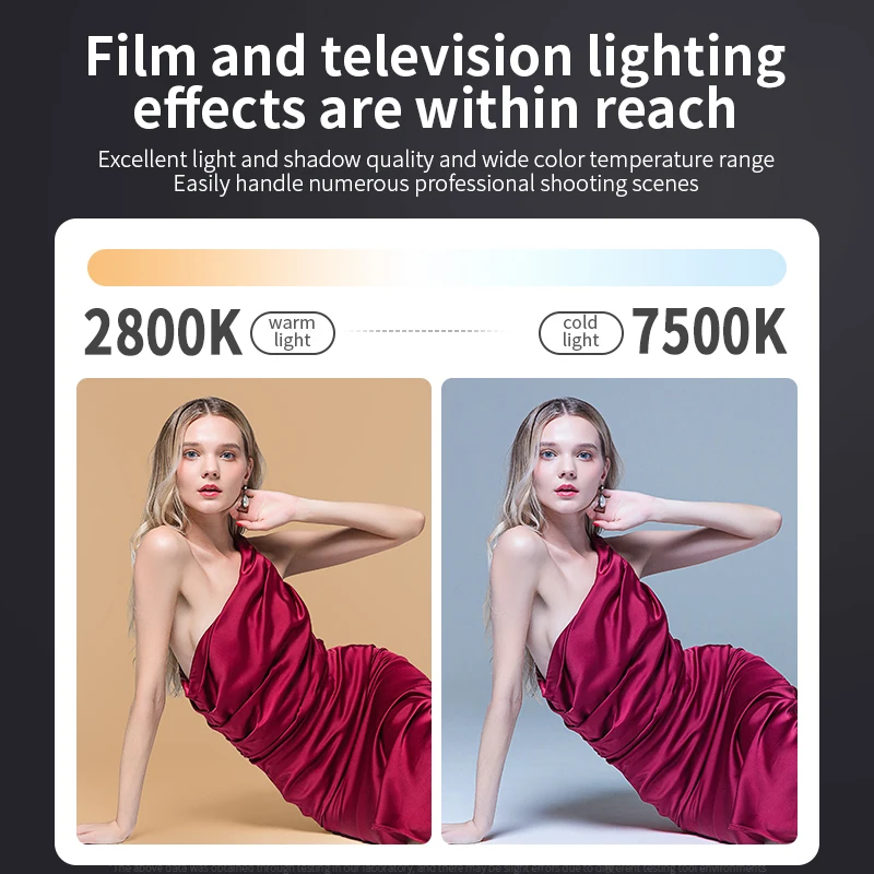 Dual Color Temperature COB Photography Light 80W Professional LED Video Light Portable Lampshade Handheld Fill Light mini Bowens 4