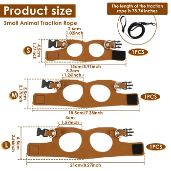 3 Pcs Adjustable Reptile Lizard Harness Leash Training Walking Rope Anti-Bite pet collars|-f-| harness leashe Harness supplies 2