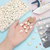 40pcs Natural Sea Shells Craft Shell Charms Beach Seashells Summer Beach Bracelet Necklace Jewelry DIY Craft Making Vase Filler 6
