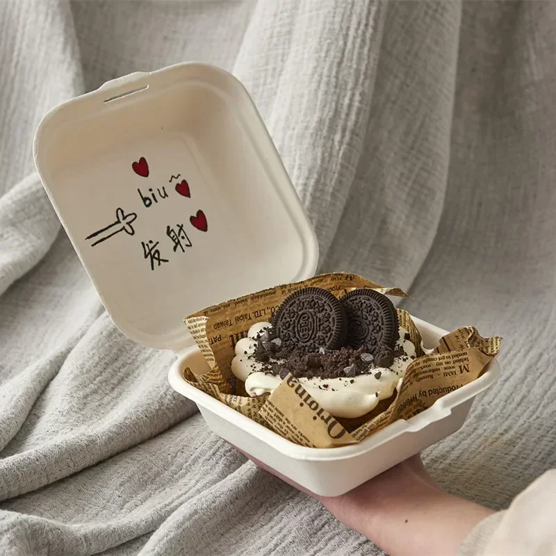 Eco-Friendly Disposable Bento Lunch and Party Packaging Box