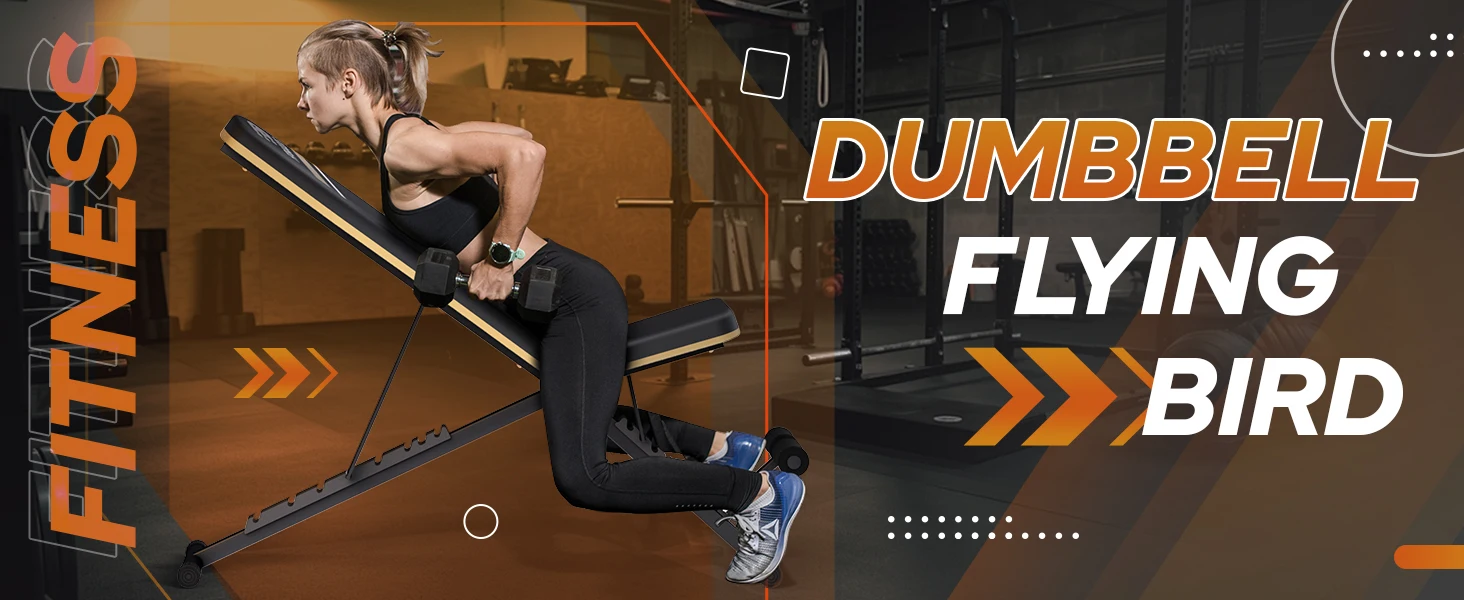 workout bench for home gym