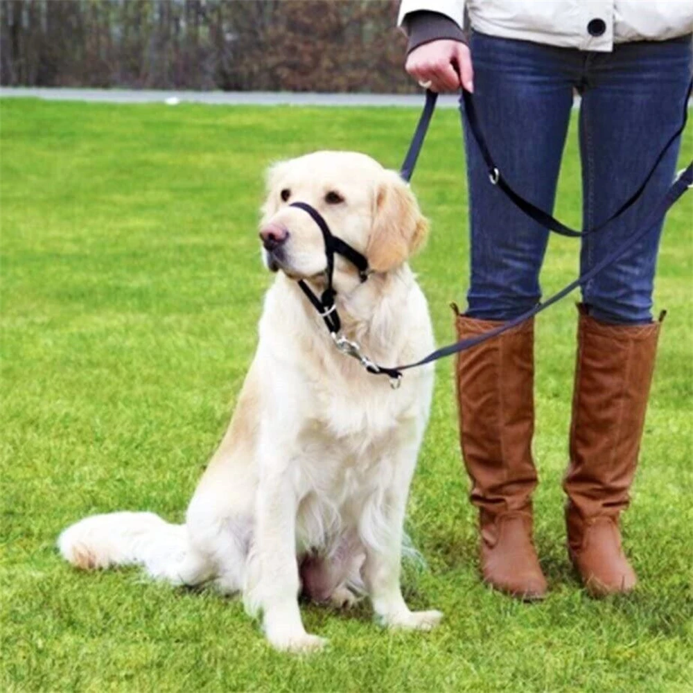 Adjustable Quick-Release Dog Head Halter Muzzle-Anti-Bite Bark & No-Pull Leash Control with Safety Strap
