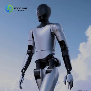 Robot Umanoide Personalizzato a Due Gambe con Display LCD, Risoluzione 1080p, CPU 2K, 4GB RAM per Spettacoli Commerciali