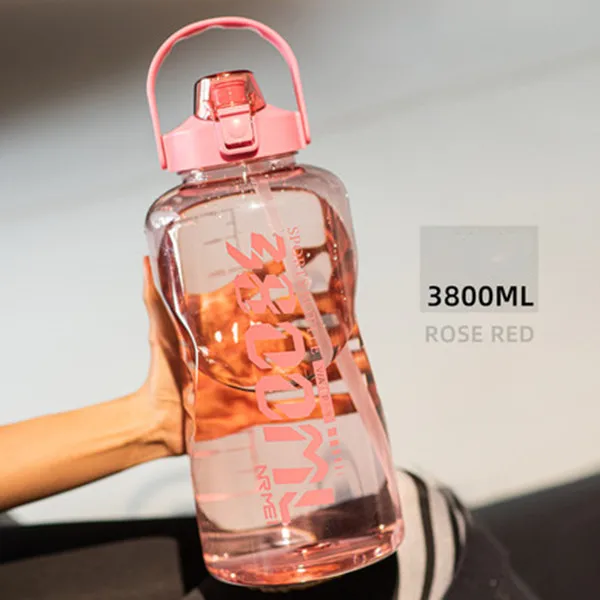 3800ml Rose
