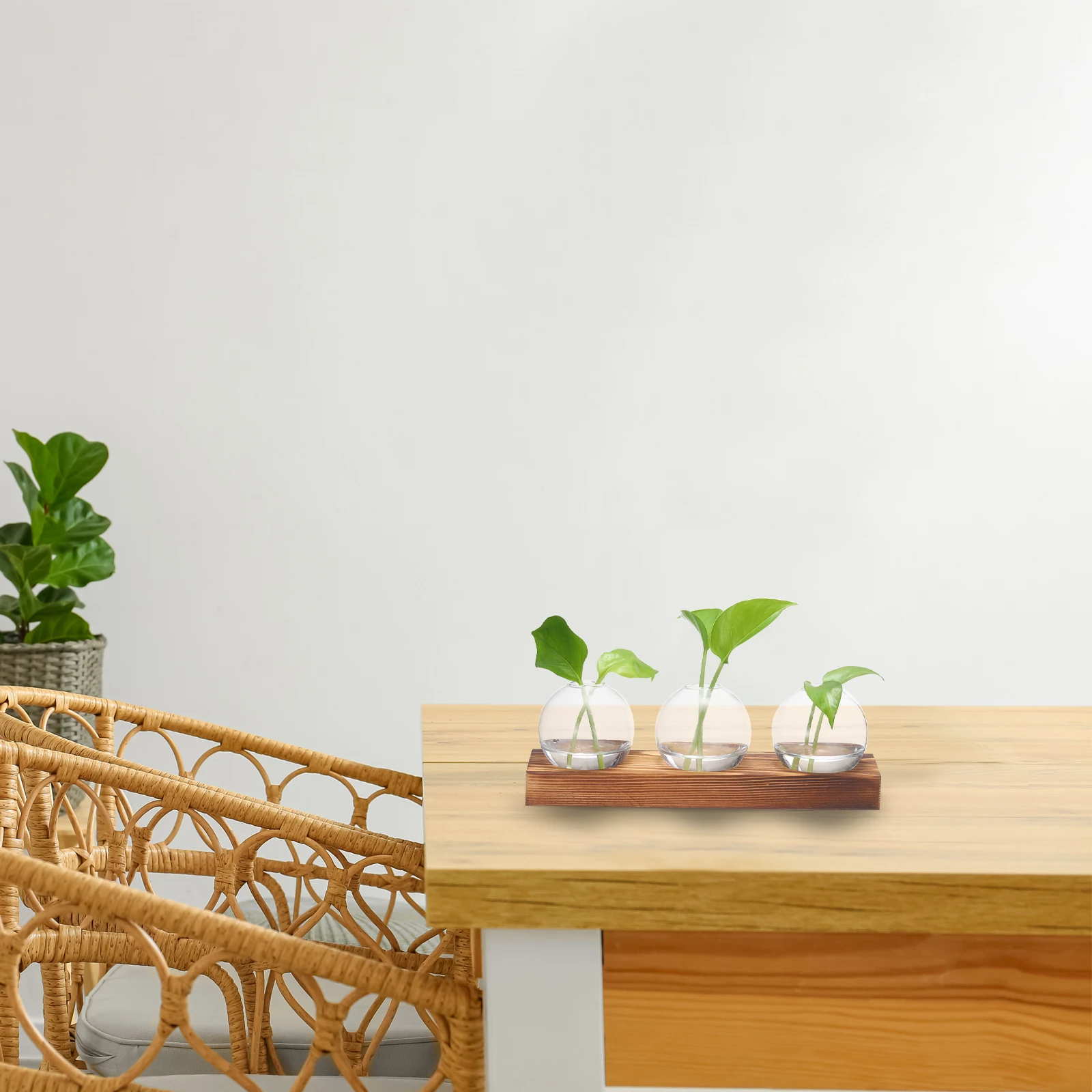 Glass Vases with Wooden Tray 3 Bulb Flower Vase Small Plant Propagation Stations for Wedding Bedroom Home Decor Table Decoration 6