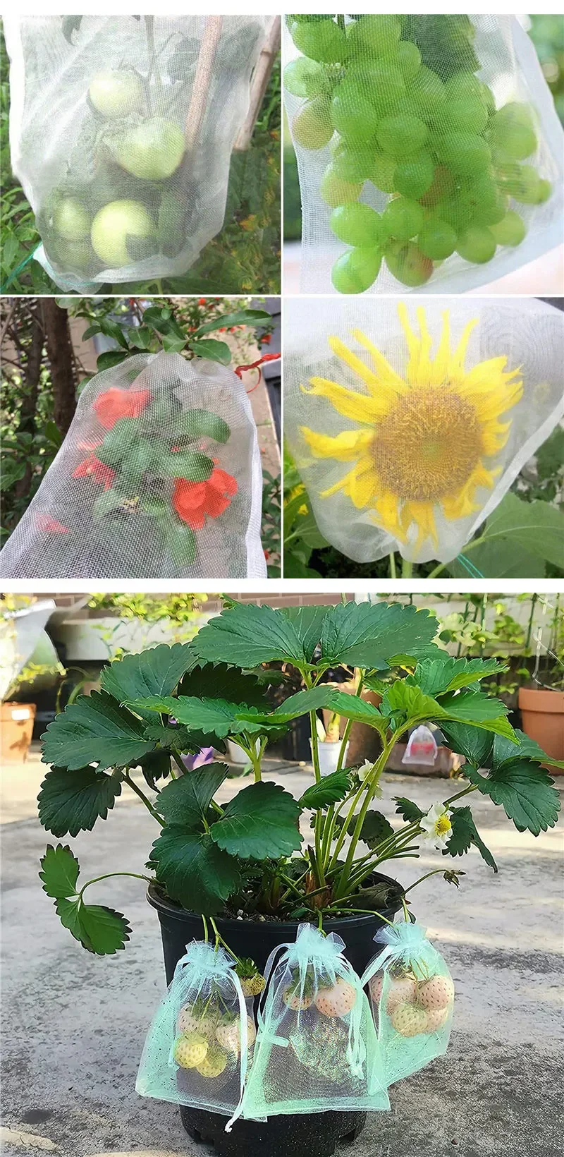Lot De 50 Sacs De Protection Pour Raisins En Organza - 20x30 Cm, Avec Cordon De Serrage, Contre Oiseaux Et Insectes - 2