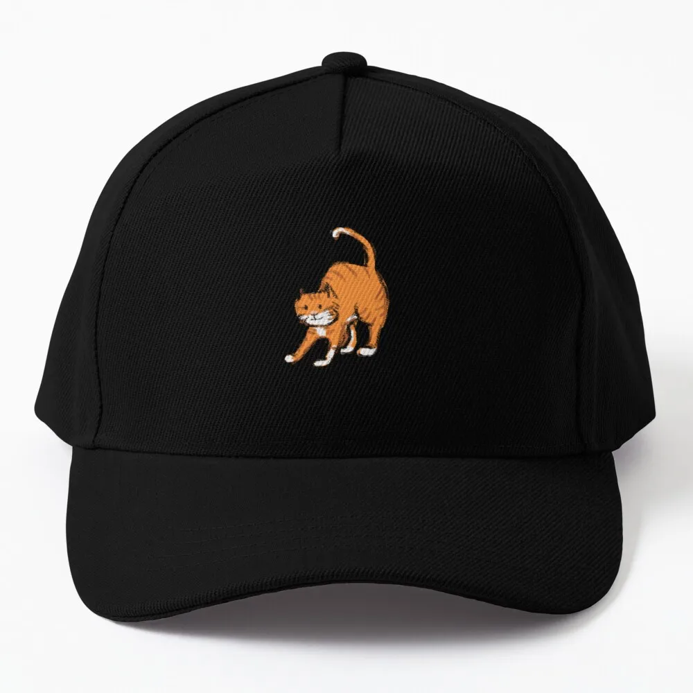 

Бейсболка Ginger cat, пляжная шляпа на день рождения, Солнцезащитная шляпа, мужские кепки, женские кепки