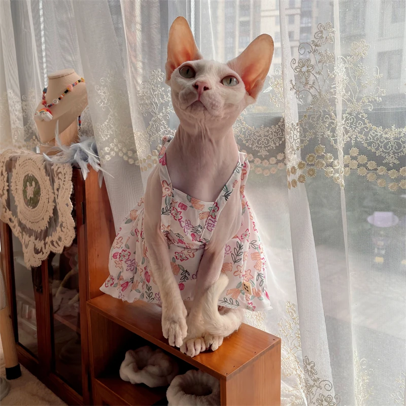 Sphynx Cat Slip Dress Lace Floral Cotton Skirt For Hairless Cat