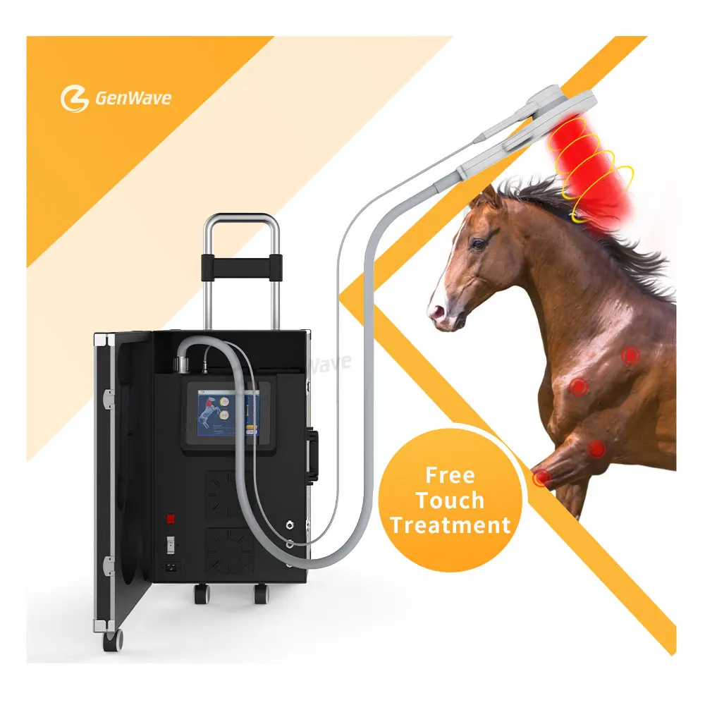 Equine Free Movement Pemf Physio Magnet Vet Per Il Trattamento Degli Animali Dei Cavalli Therapes Riabilitazione E Lesioni Pemf Equine Machine