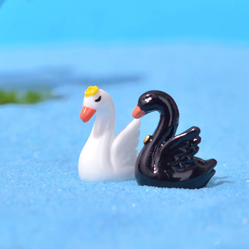 Cute Black and White Swan Micro Landscape Succulent Decoration and Creative Tabletop Accessories