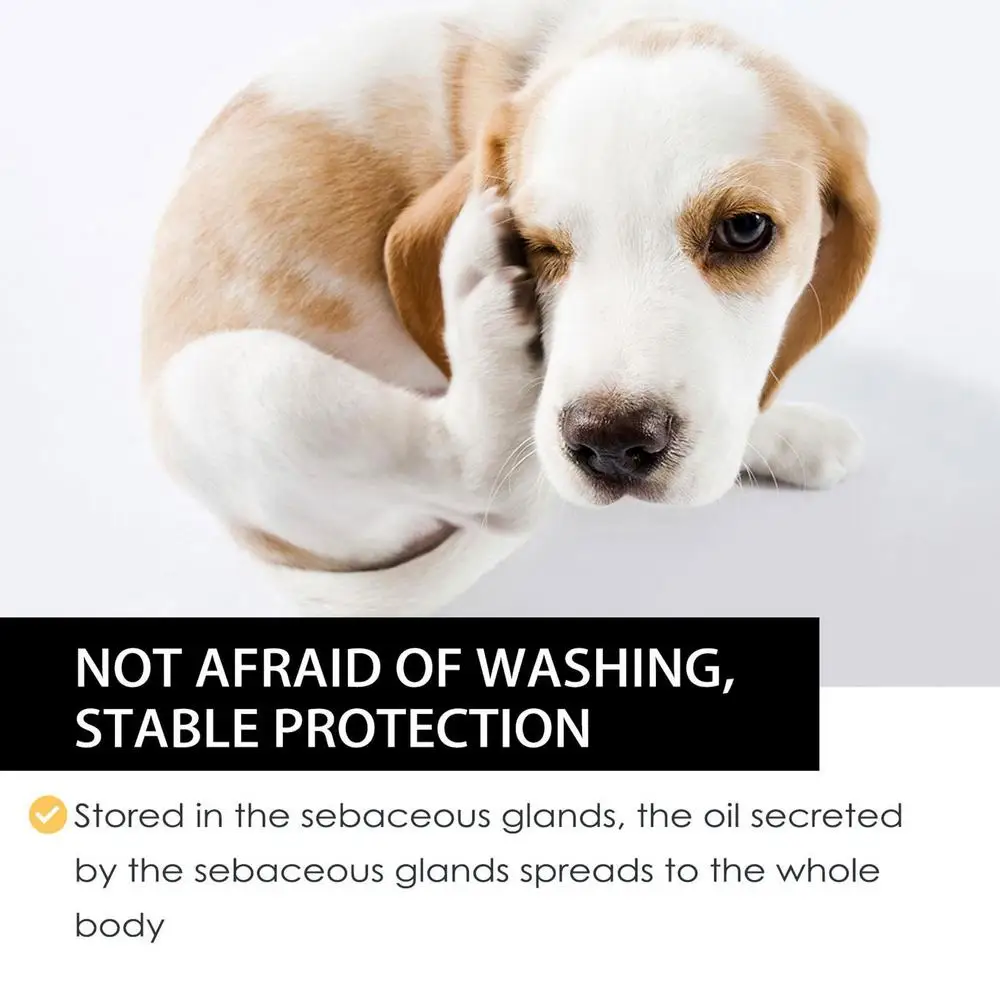 30ml Pet Anti-Flea Drop Repellent For Dogs And Cats Insecticide Flea Drops Insecticide Fleas Ticks Removal Water Pet Spray Clean