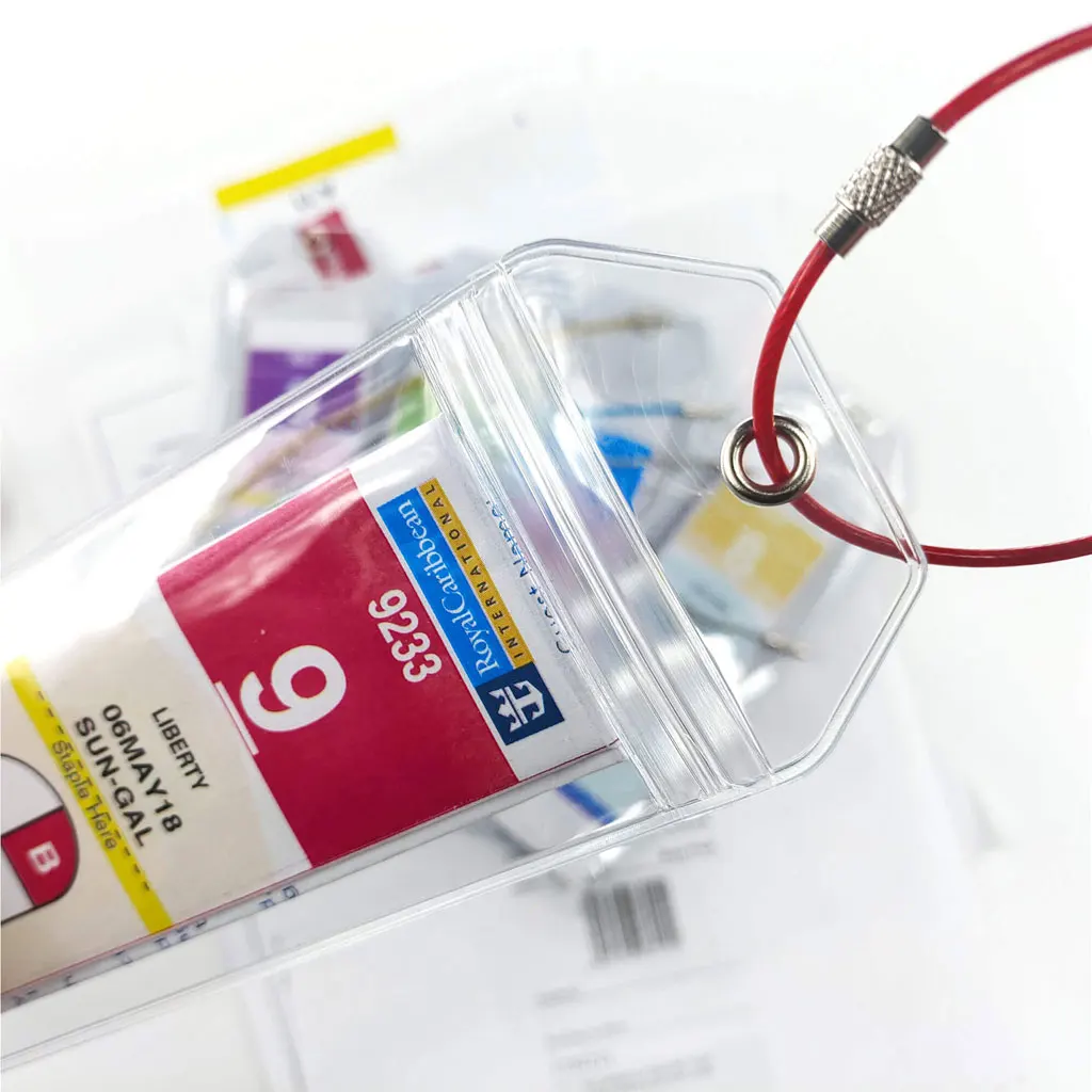 Рисунок 2 - Багажная бирка для круизного лайнера