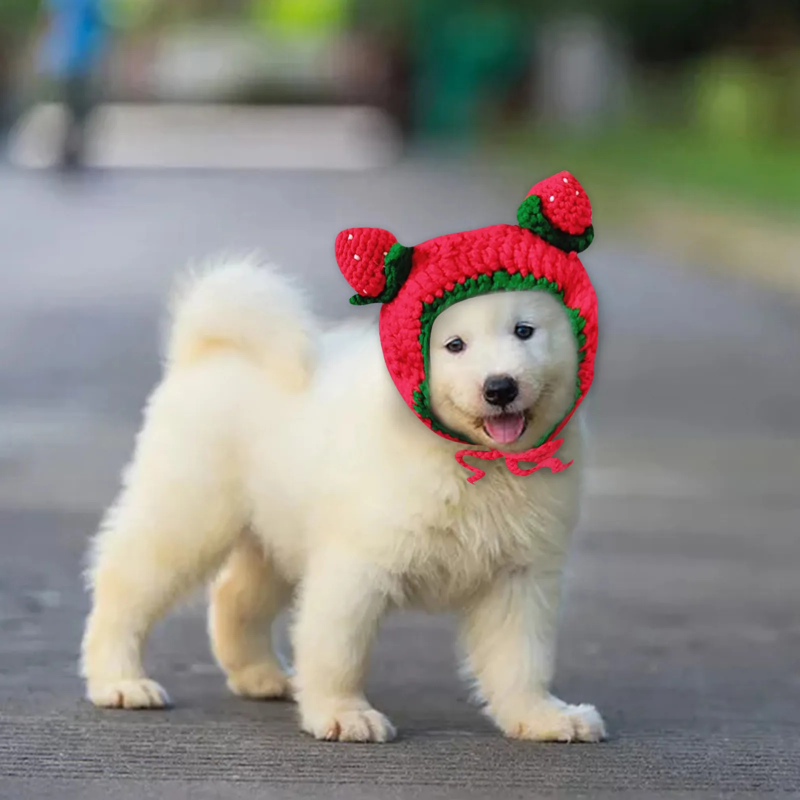 101caffè Per Avere Successo! | PDF, image size:1600x1600