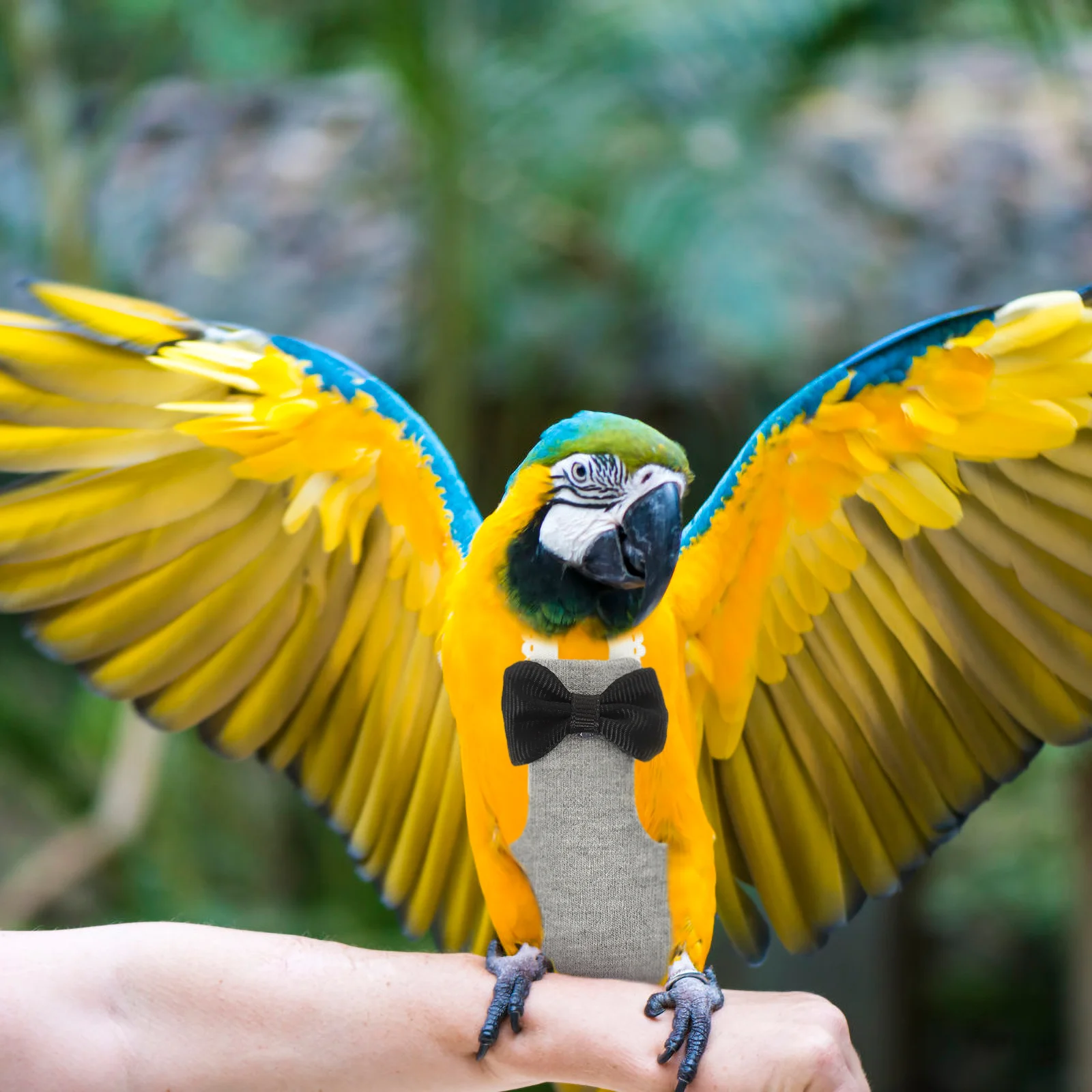 

Flying Bird Diapers Clothes Cosplay Clothing Reusable Parrot Comfortable Parakeet Cage Accessories Decorative Washable Dreses