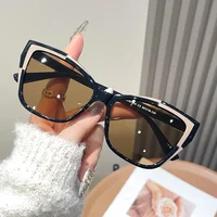 Lunettes de soleil œil de chat de couleur contrastée, monture de lunettes pour femmes, personnalité polyvalente, mode, nuances tendance, UV400, nouvelle collection 2025 3