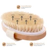 Wet and Dry Body Brush Exfoliator with Soft Bristles Body Scrub Brush for Cellulite and Lymphatic Bath Shower Skin Care Tool 3