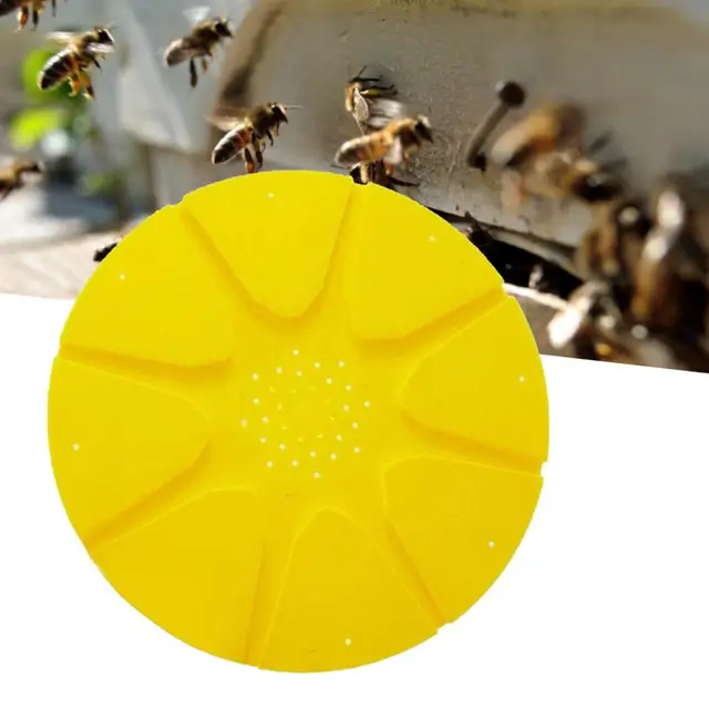 26 Cm 8 Ways Bee Escape Device Mage Ajtó Méhkapu Kerek Lemez Méhészeti Ellátás Méhészkészítő Eszközök - Image 3
