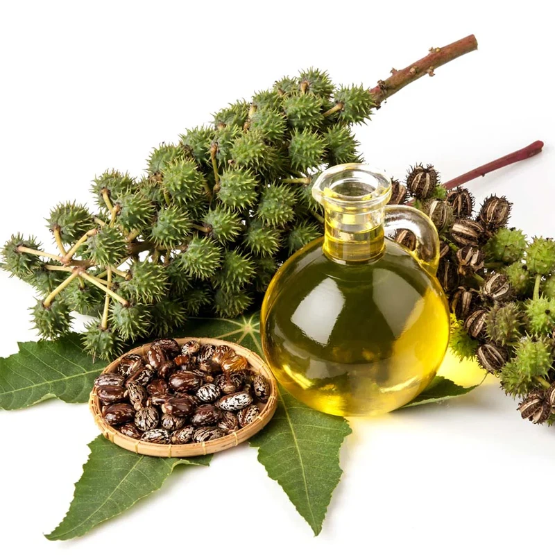 Premium Cold Pressed Castor Oil 100% Pure Organic Hexane-Free for Skin Hair Health - Ideal for Natural Remedies & Moisturizing 3