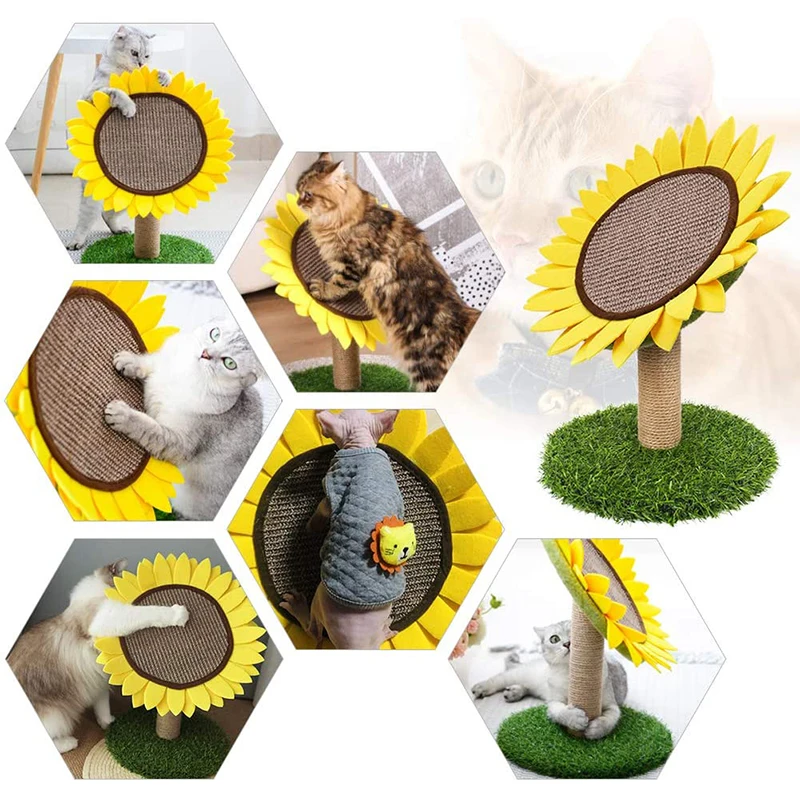 171213-fe0eba.jpg