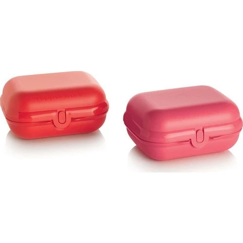 Tupperware Packables Small Pink Oyster Hinged Containers 7806