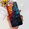 Case-c31